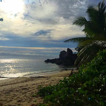 Villas Du Voyageur Grand Anse  Exteriér fotografie