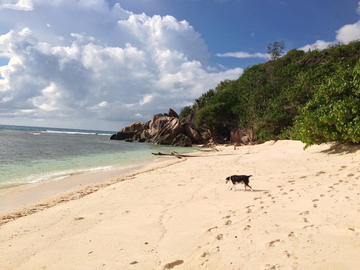 Villas Du Voyageur Grand Anse  Exteriér fotografie