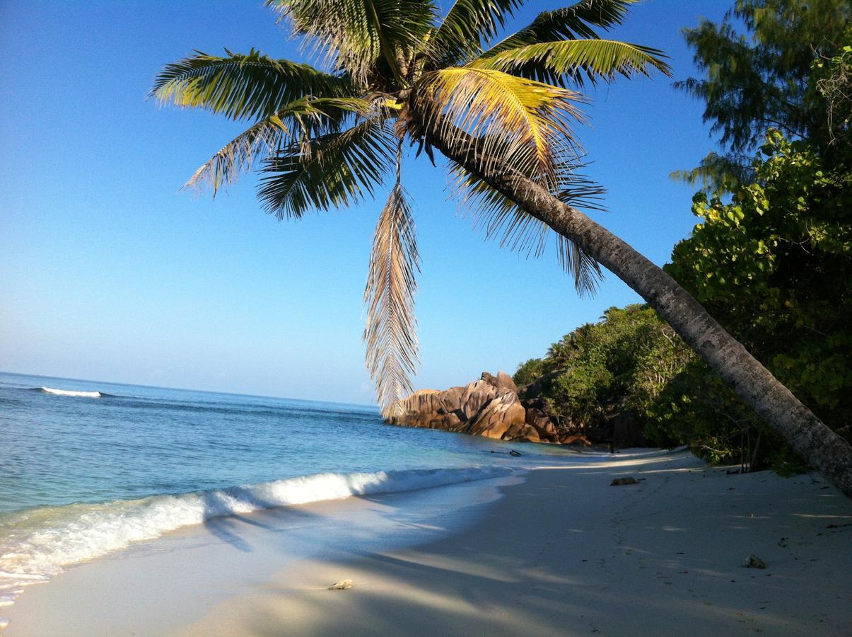 Villas Du Voyageur Grand Anse  Exteriér fotografie