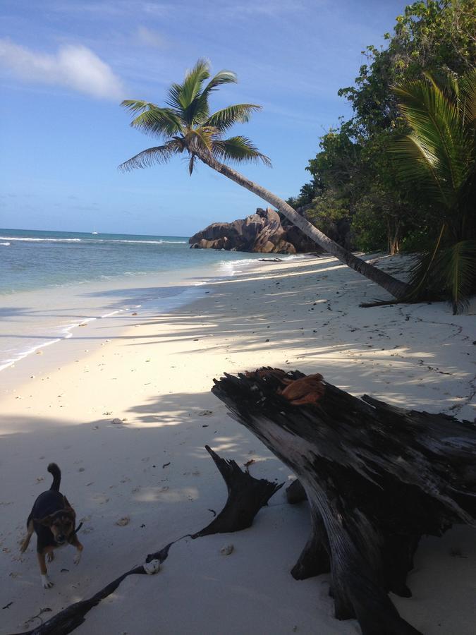 Villas Du Voyageur Grand Anse  Exteriér fotografie